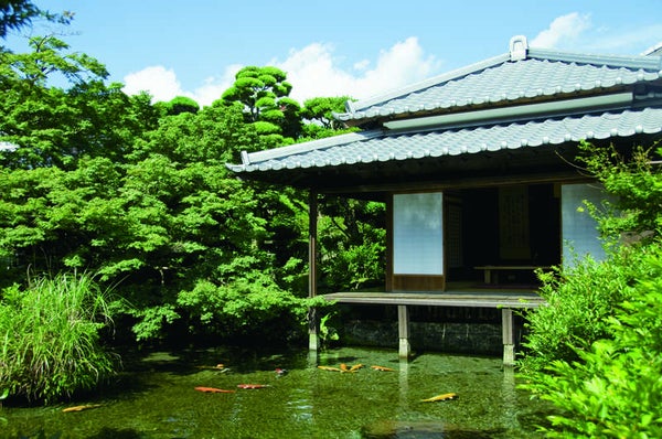 【小倉駅貸切バス駐車場発】 しあわせの〇〇鉄道に乗る 新春鉄旅ミステリーツアー 日帰り3